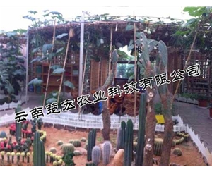 昆明溫室大棚生態餐廳