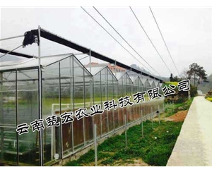 文洛式連棟溫室